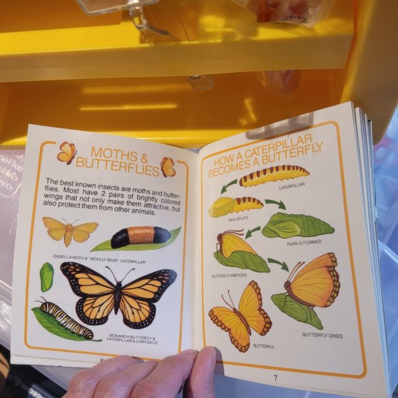 1987/88 Fisher Price Field Explorer Set with Box - Picture 16 of 16